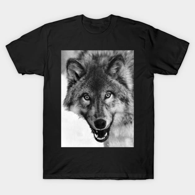 Wolftacular T-Shirt by CrazyCreature